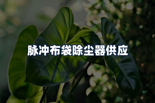 脉冲布袋除尘器供应